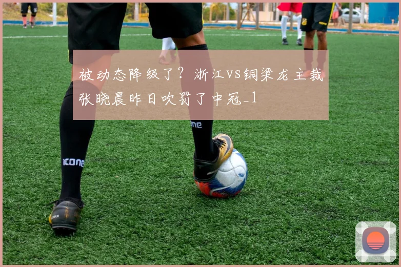 被动态降级了？浙江vs铜梁龙主裁张晓晨昨日吹罚了中冠_1